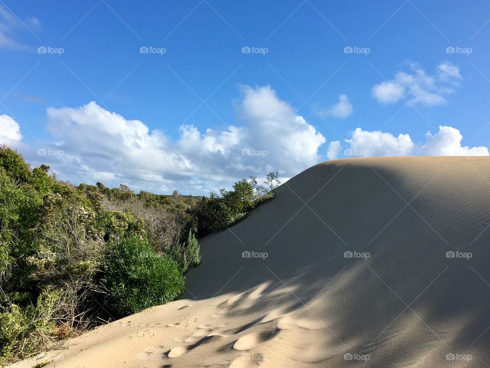 The South Australia outback and gold sand dunes at Lincoln National Park along the Southern Ocean on sunny day 