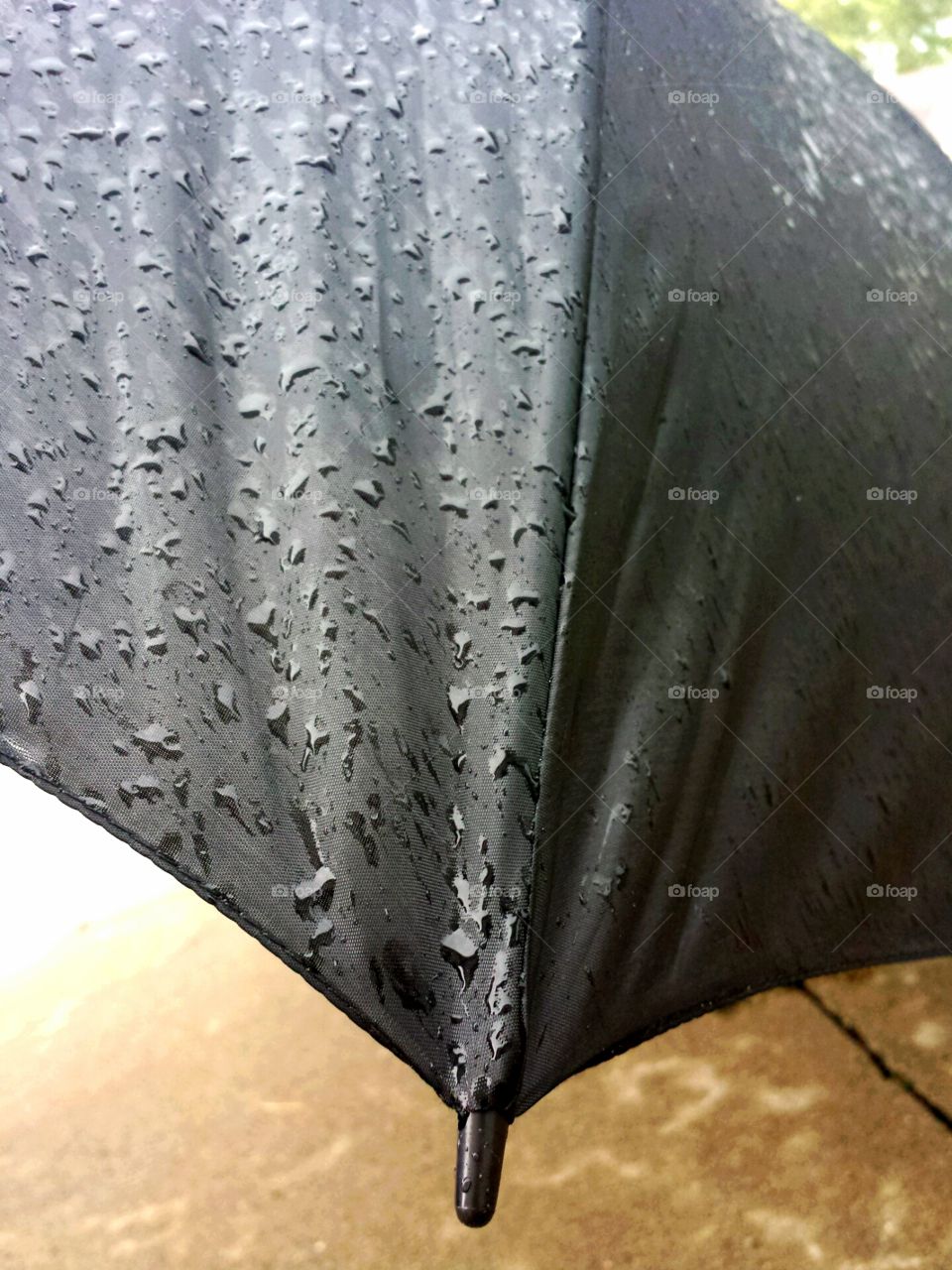 edge of the umbrella
