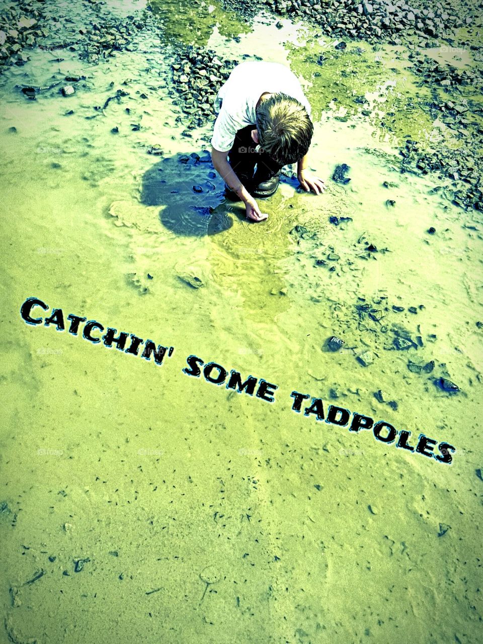 tadpole catchin