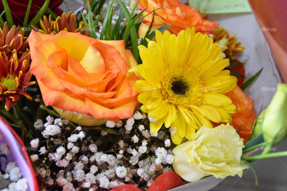 09. beautiful gift bouquet of colorful flowers 