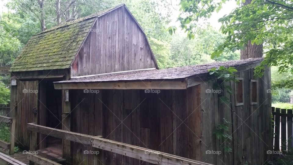 Woodland barn