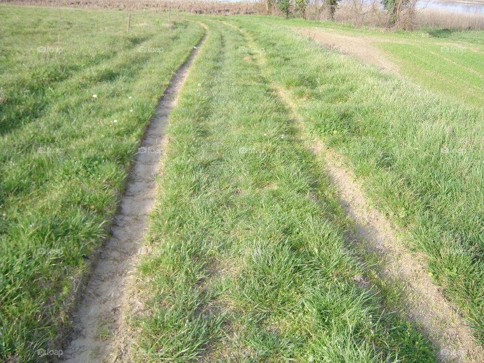 walking in the fields