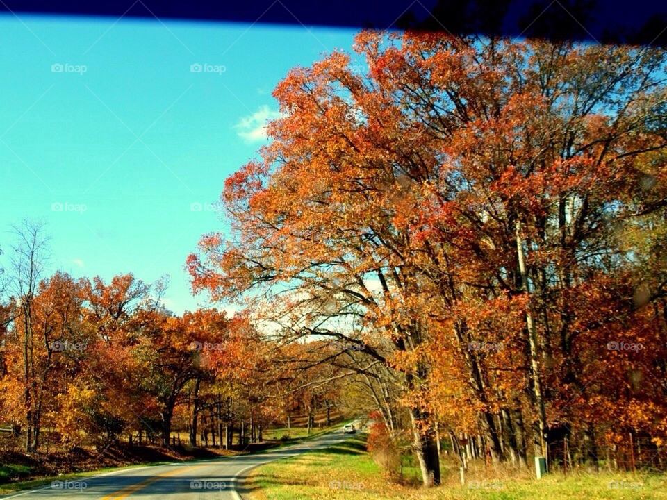 Fall in Arkansas