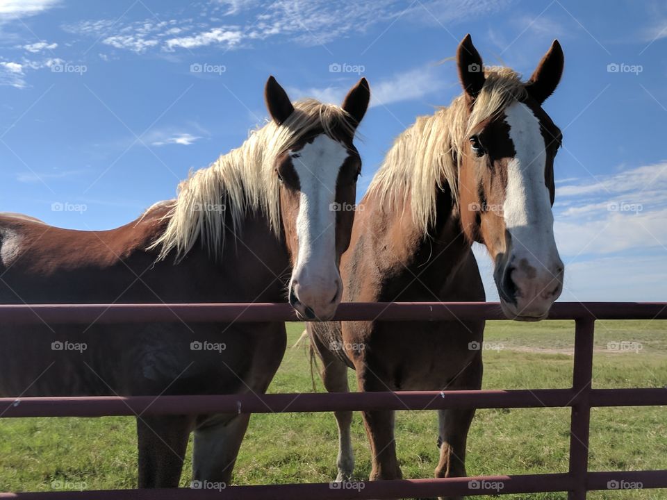 enjoying a beautiful day