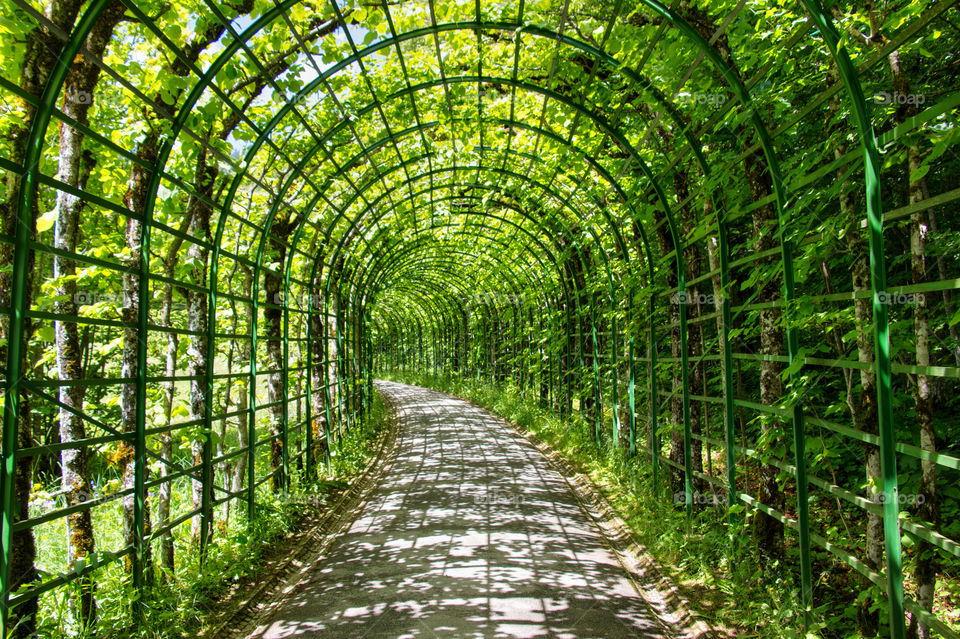 Trellis in Linderhof castle