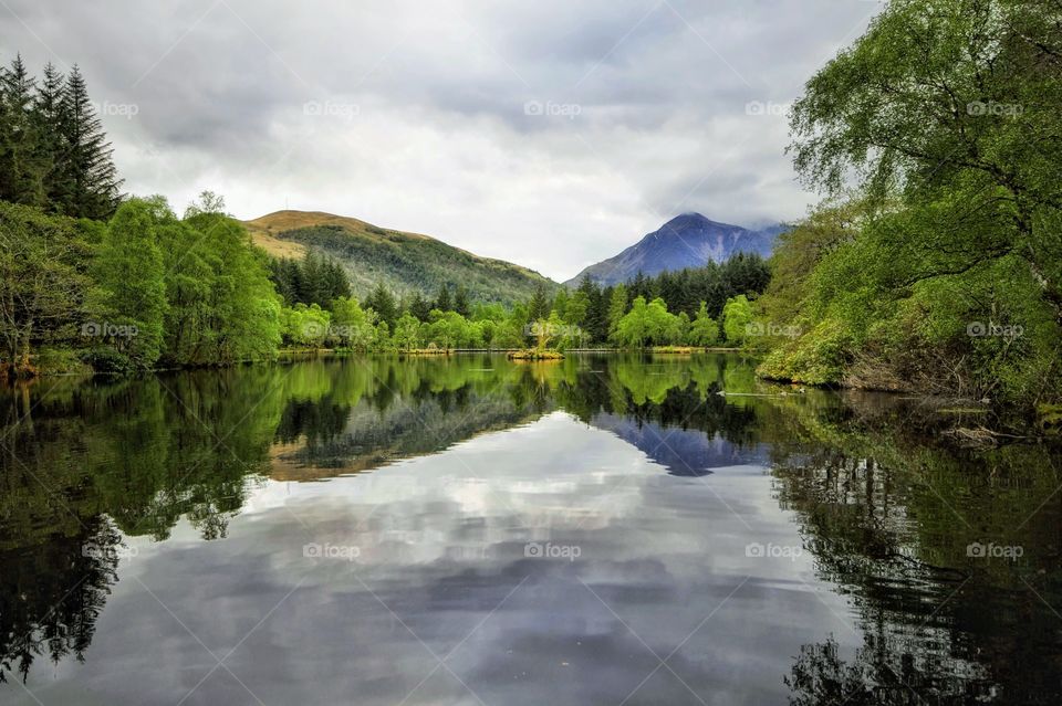 Reflection of trees in idyllic lake