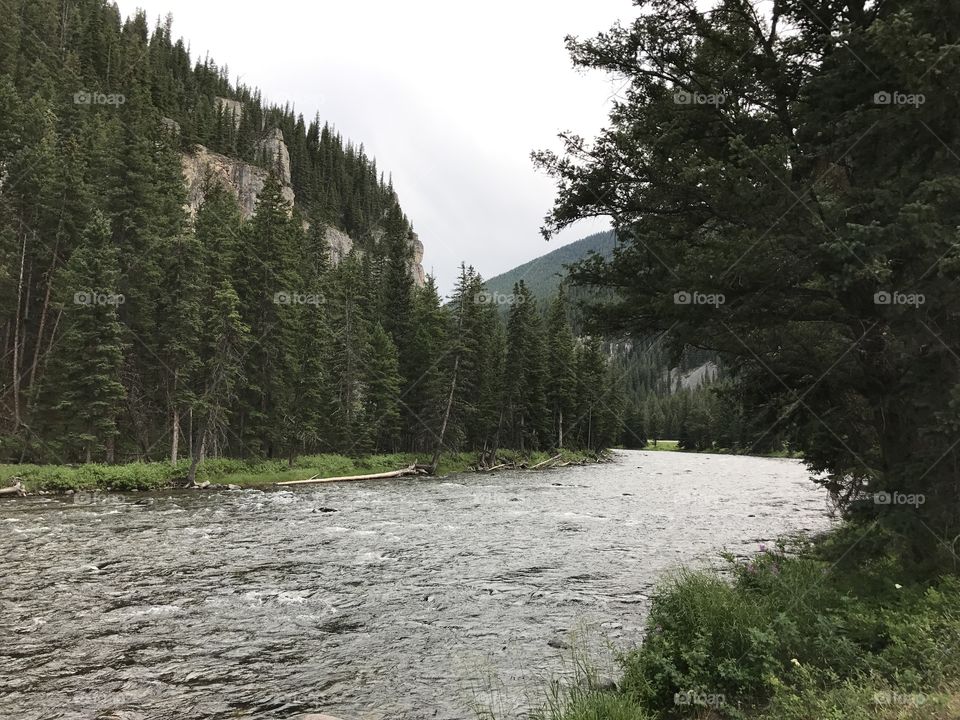 Montana Creek