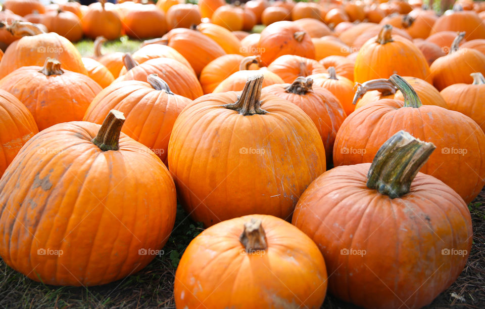 Pumpkins