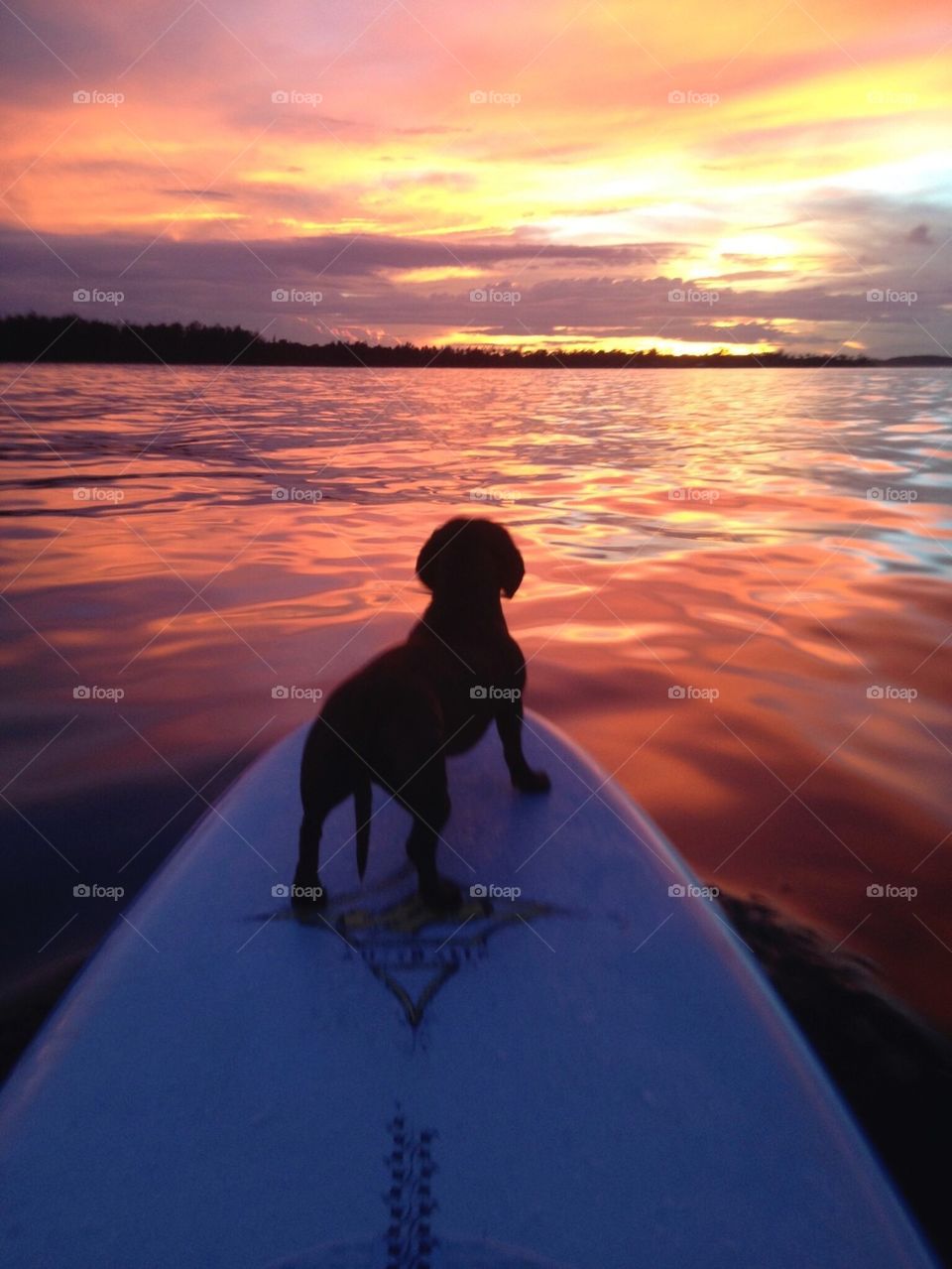 Colorful Sunset