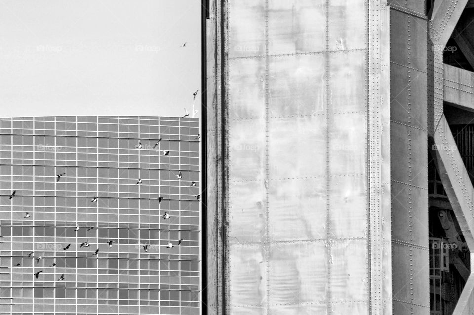 black and white architecture of a glass building and a bridge
