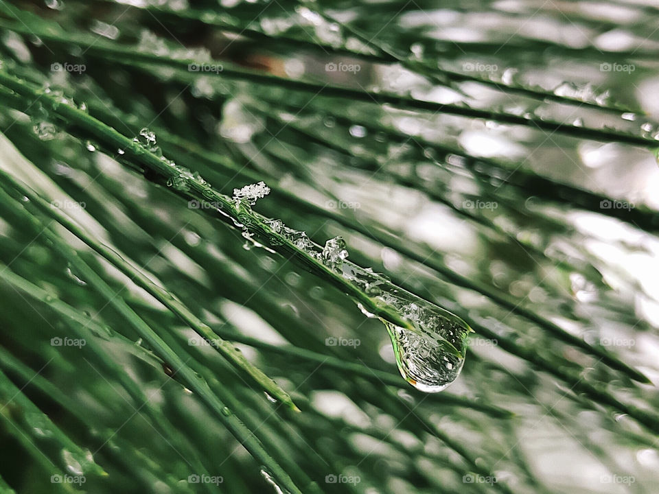 The winter in a droplet 💧