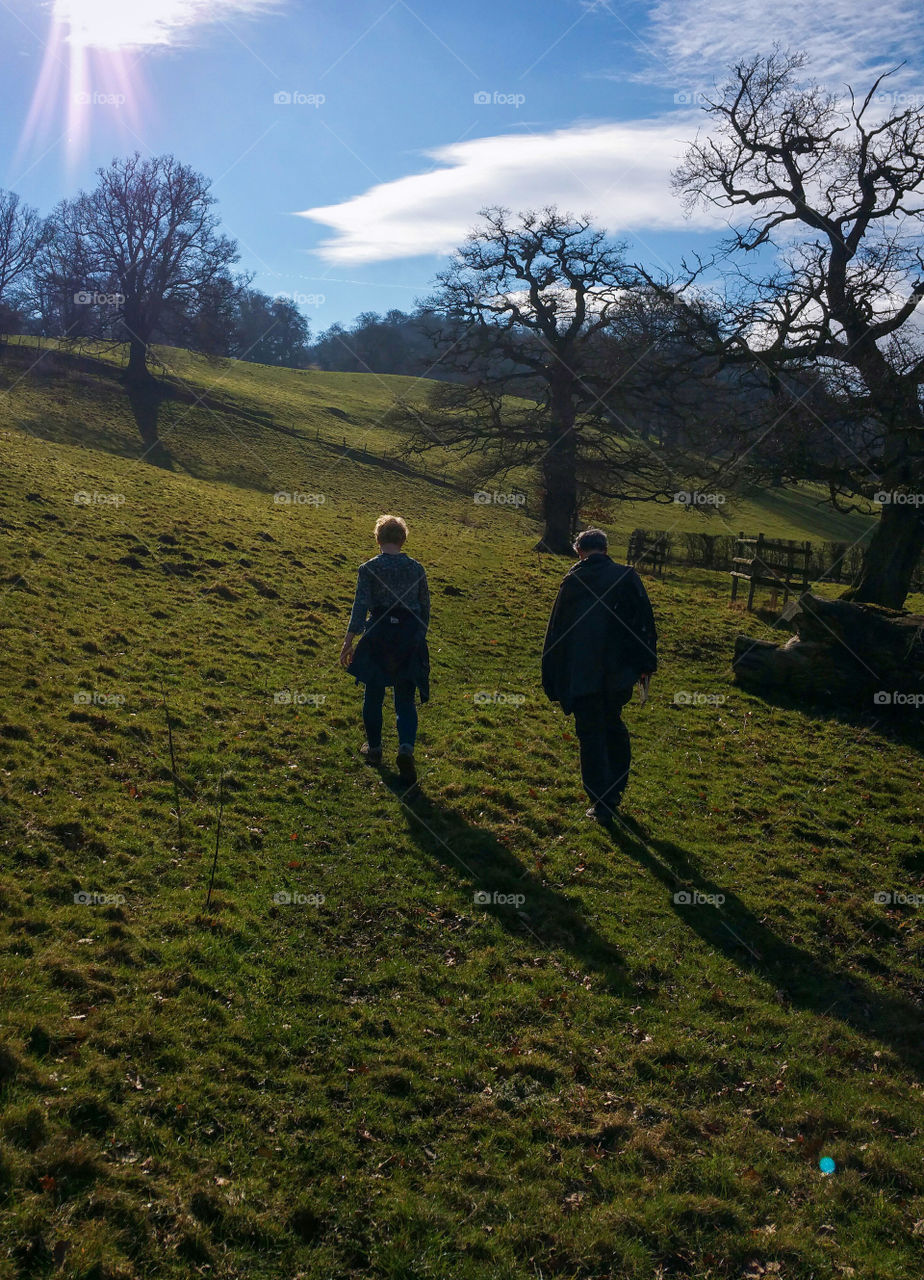 Walking in the country in winter sunshine