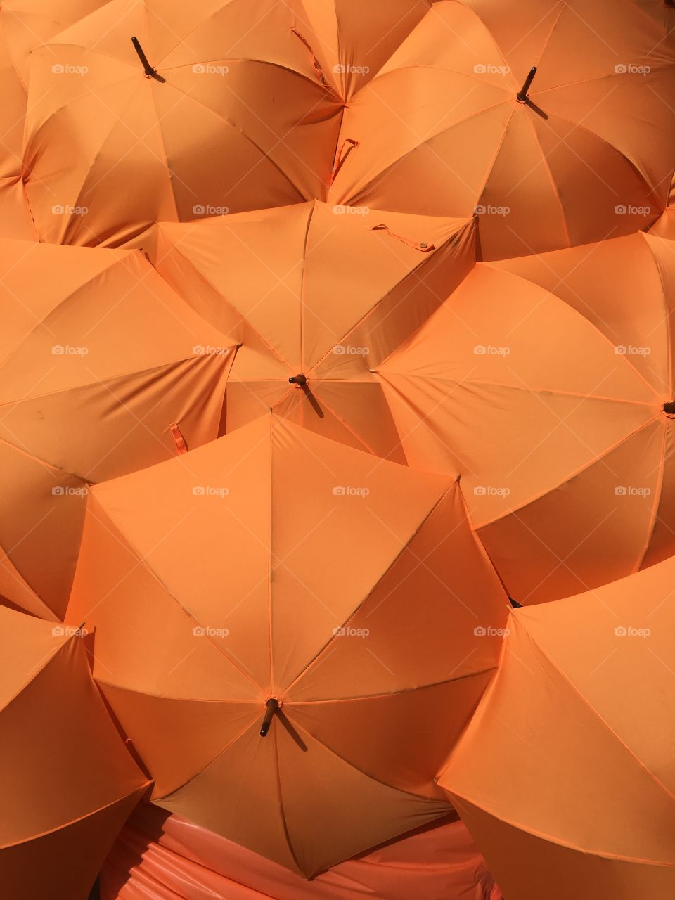 Close-up of an Orange umbrella's