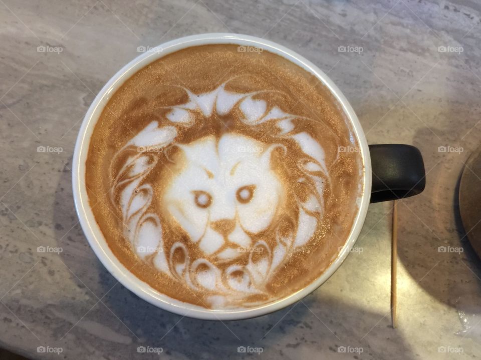 lion in a cup of coffee