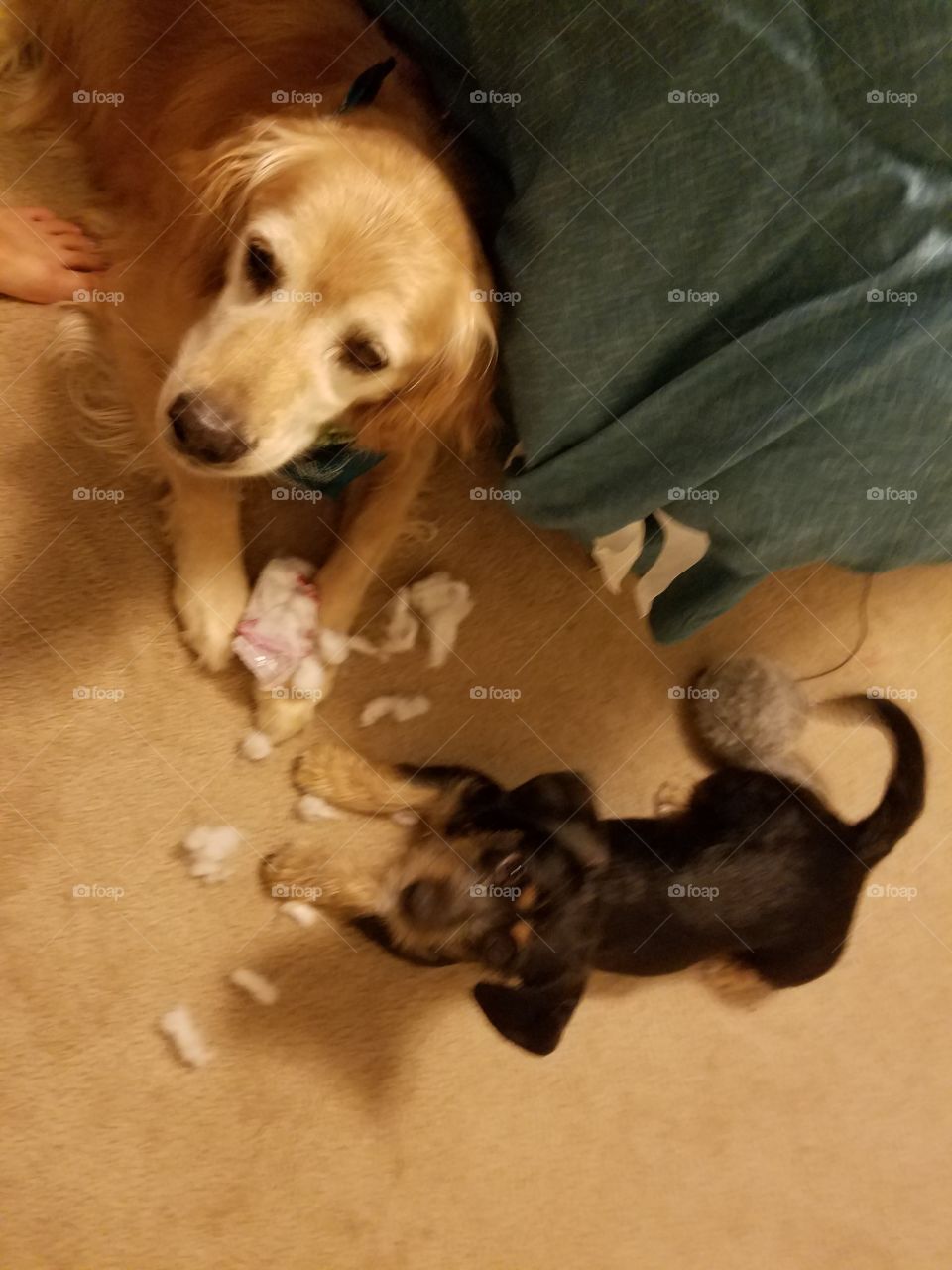 Toy Destroyers
