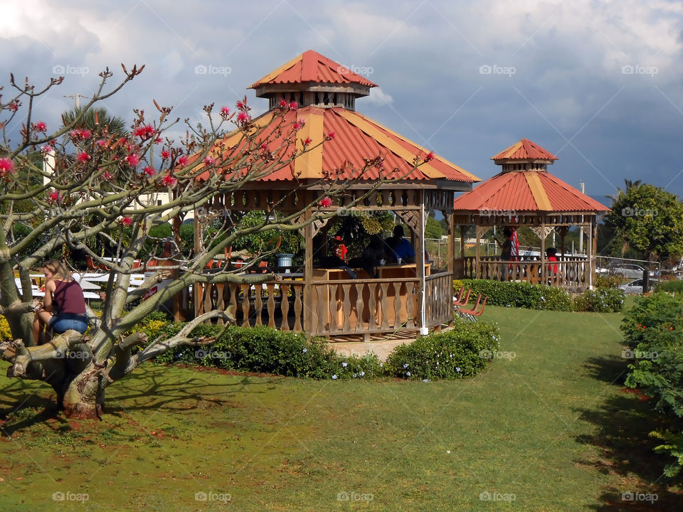 Lawn Gazebo