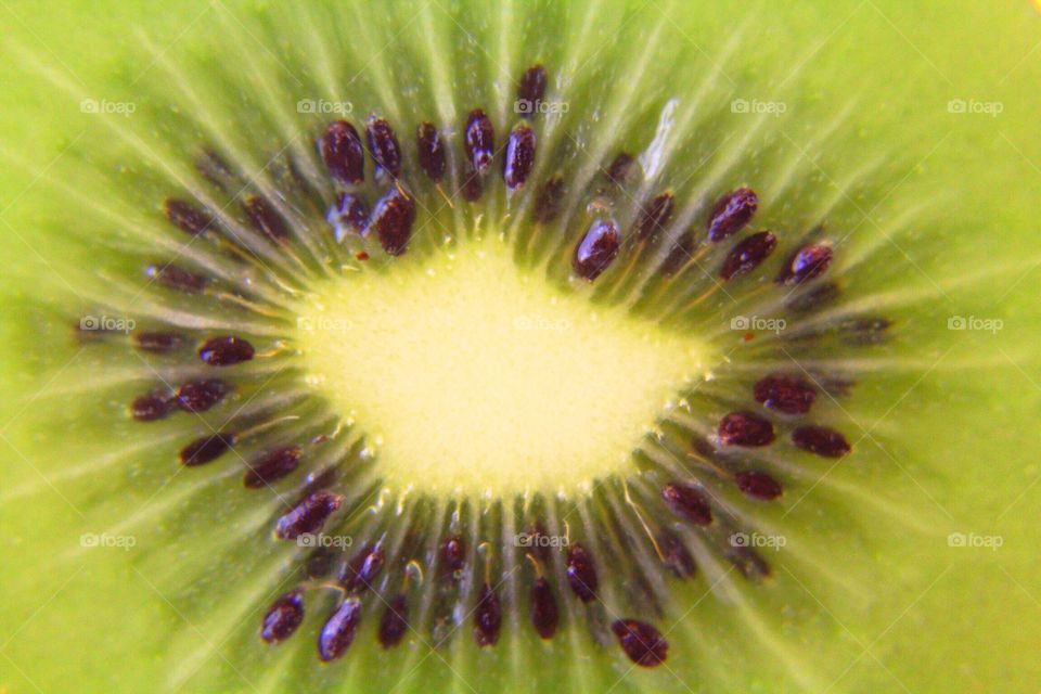  Closeup of kiwi