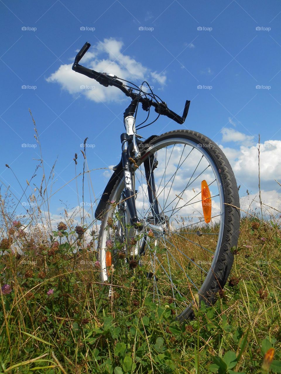 bike in grass outside blue sky background