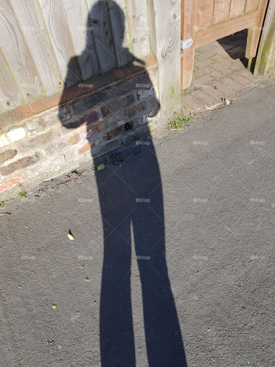 shadow