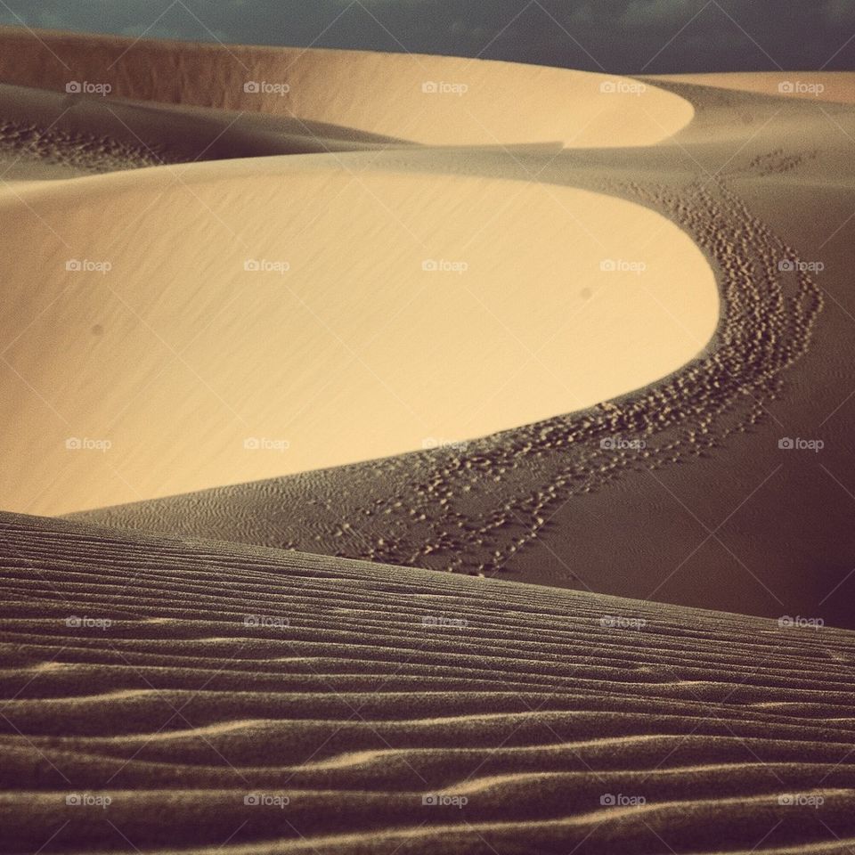 Dune of sand in the desert