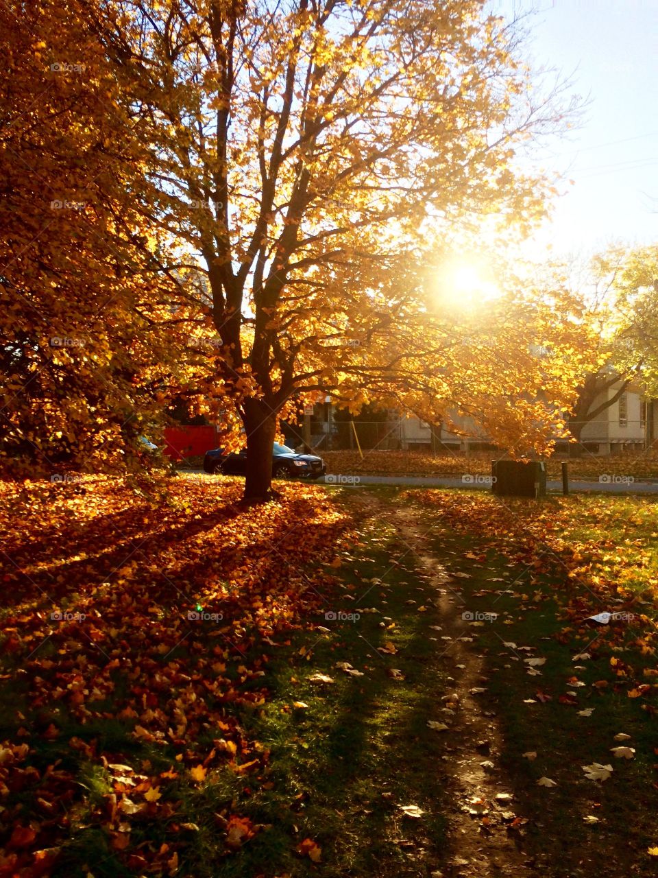 Illuminating sun rays  