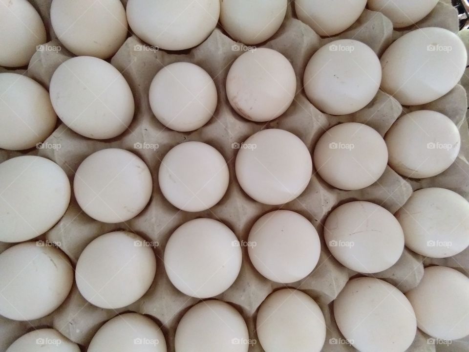 egg tray