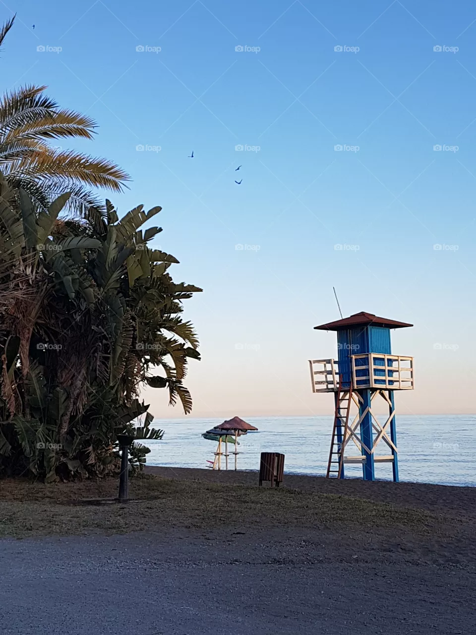beach