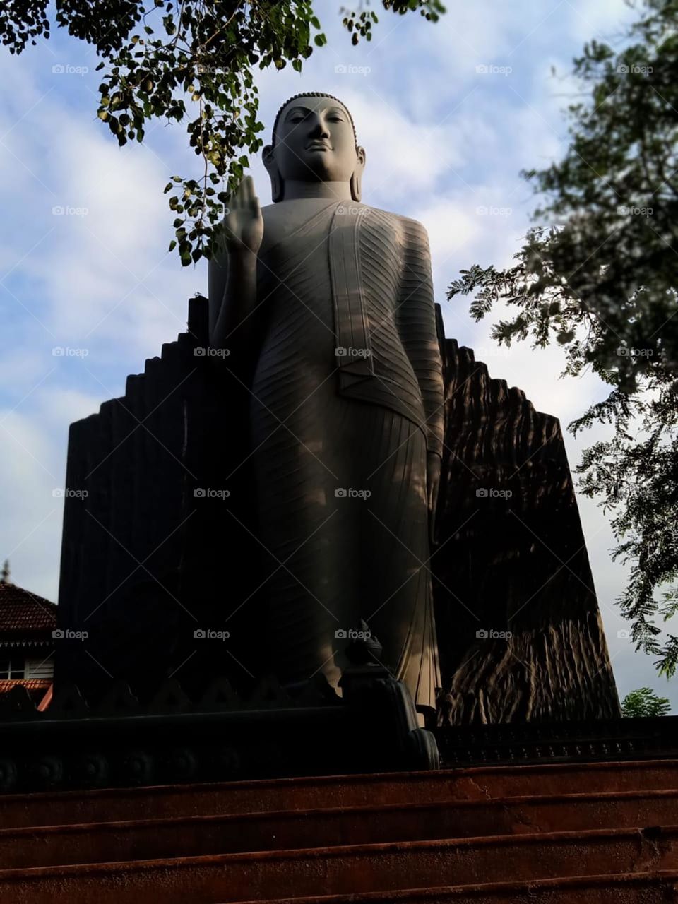 This majestic Buddha statue.