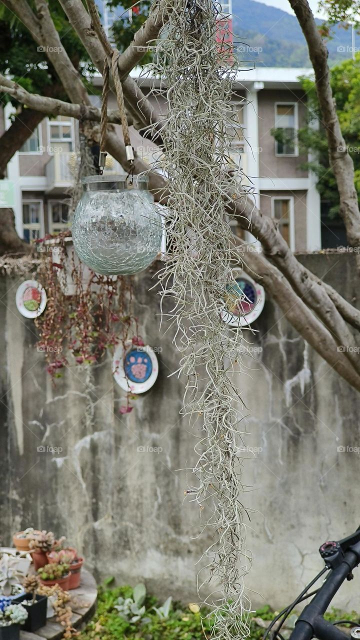 bicycle in the park , taiwan