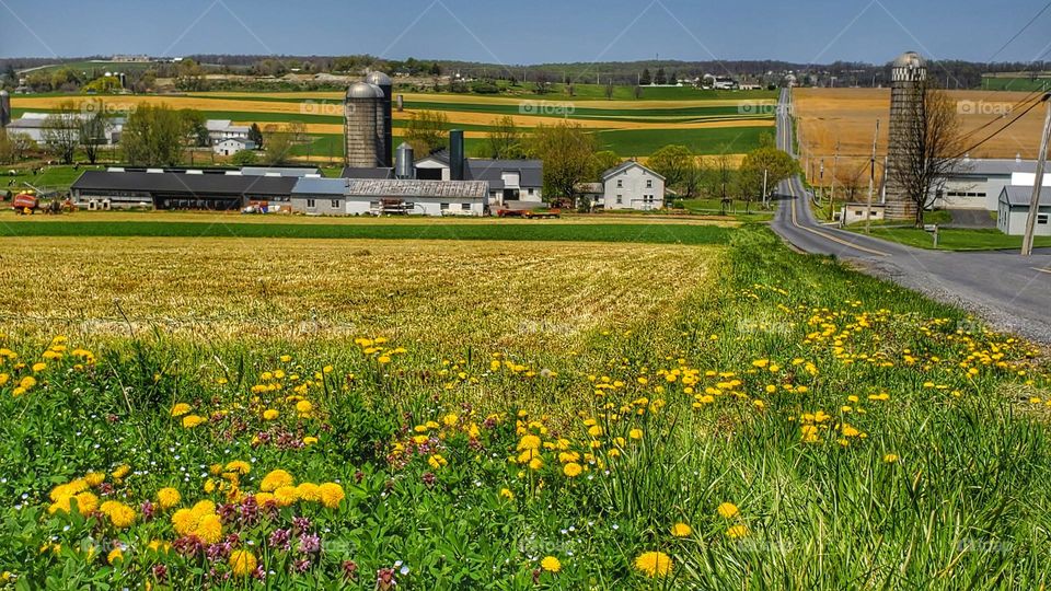 Farmland of Central PA