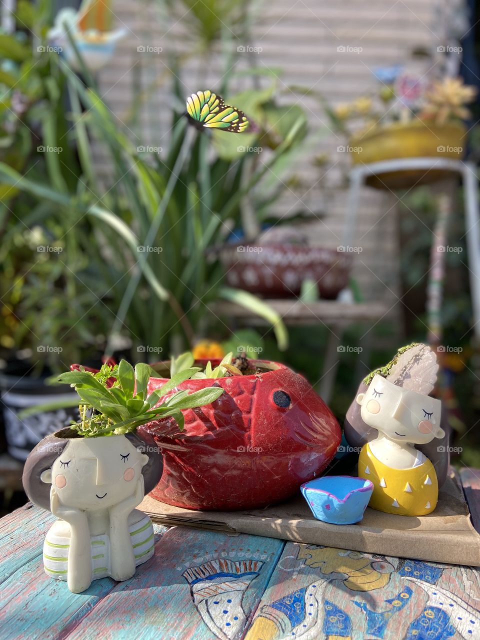 My favourite garden and pot , can't live without them, plants are life , passionate about plant, love being around plants , love to water them now they are part of family