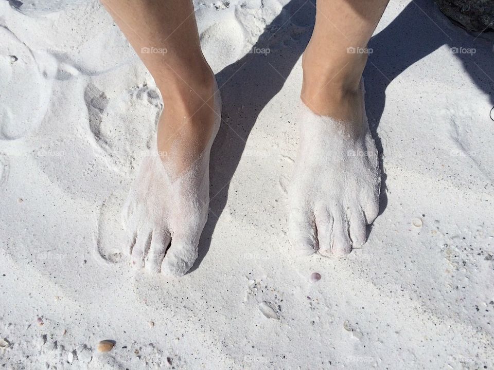 Sarasota sand
