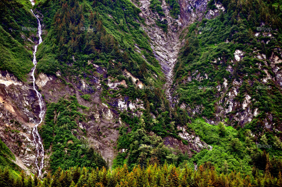 mountain trees by refocusphoto