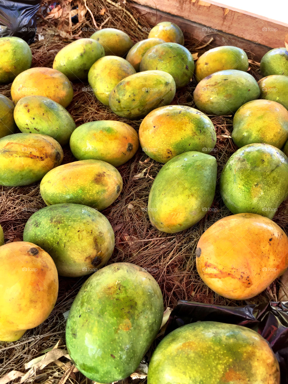 Fresh mangoes 