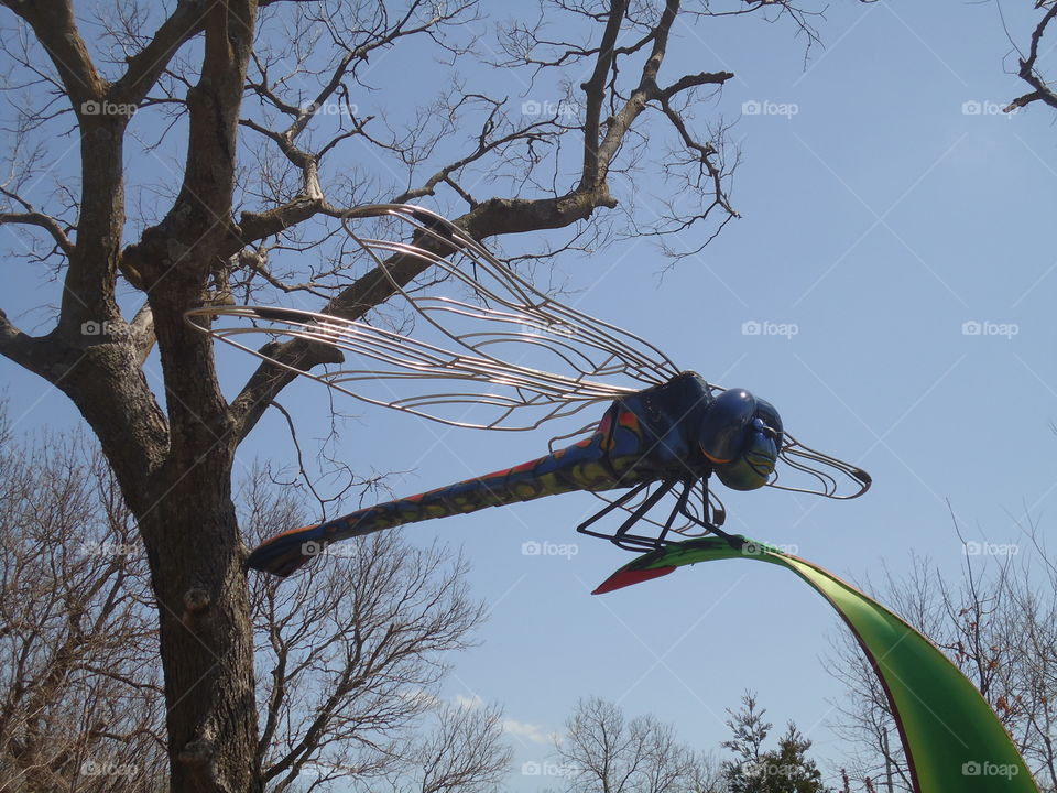 Dragonfly Sculpture In Tree
