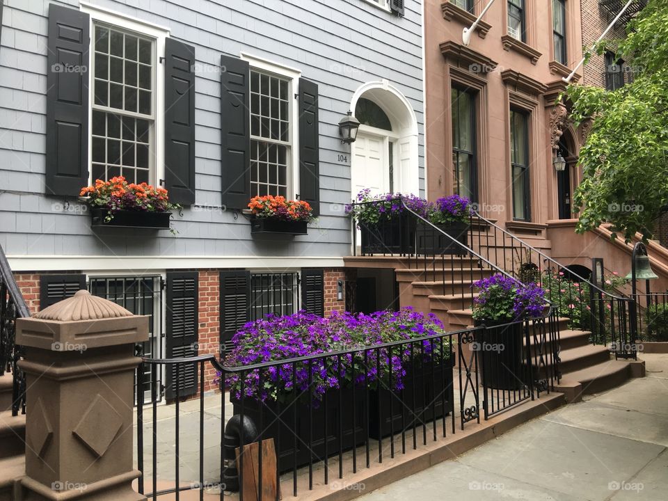 Brooklyn
Flowers
Home
Architecture 