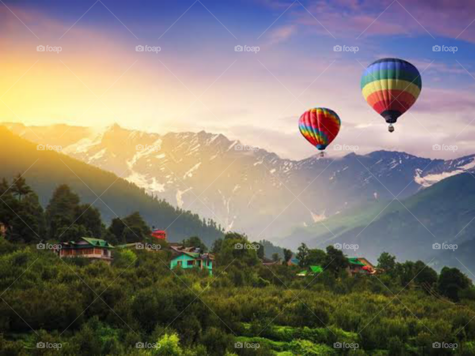 The Beautiful Nature Vibes