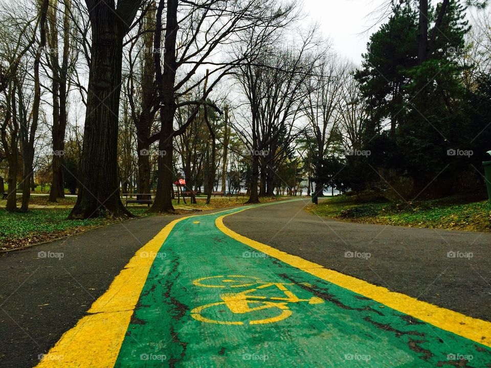Bicycle painting on empty road