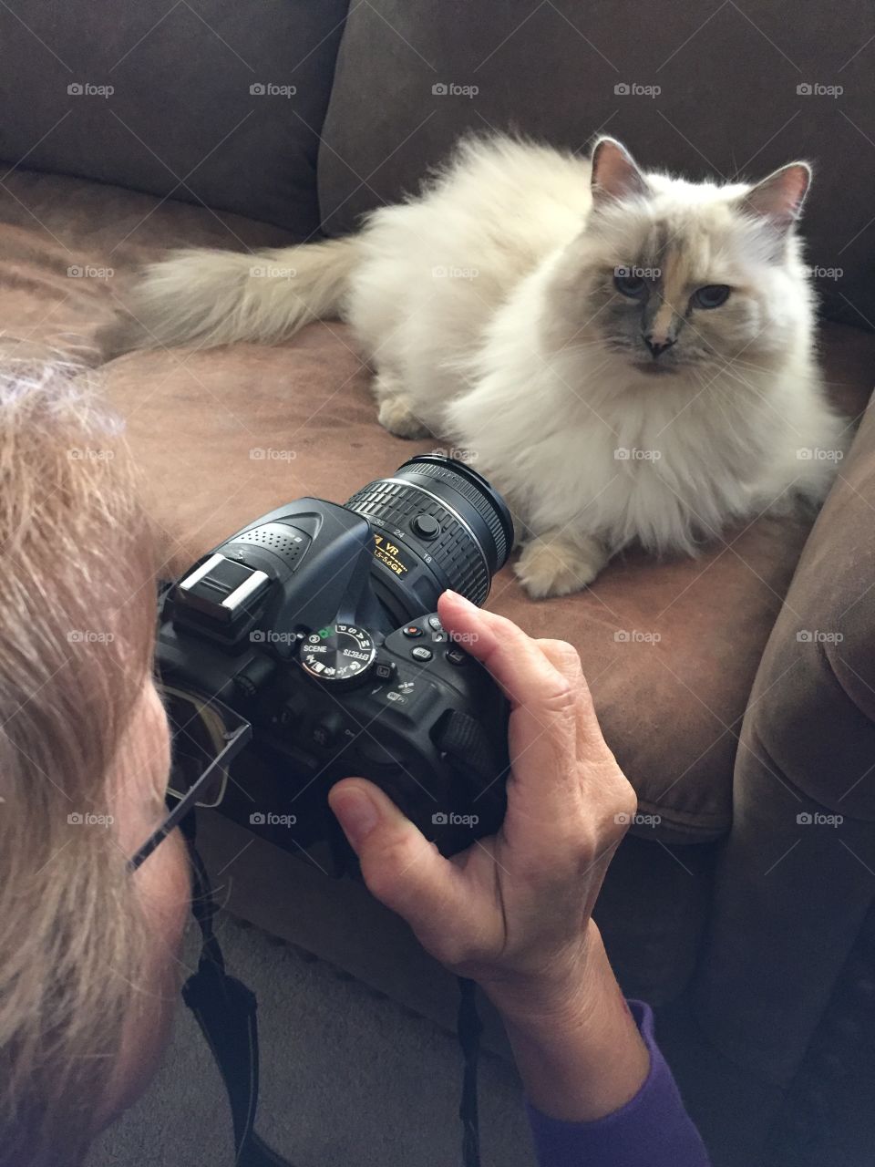 Taking picture of a cat
