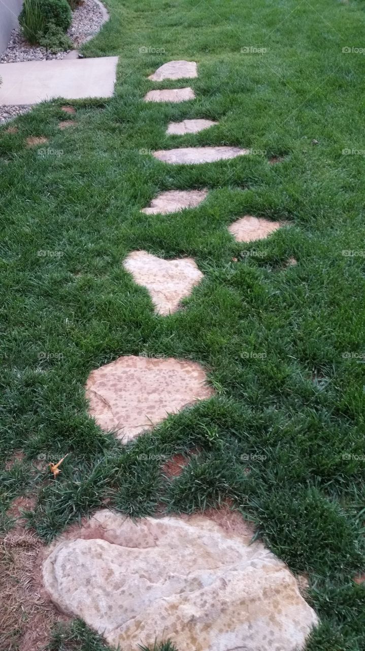 stone pathway and grass