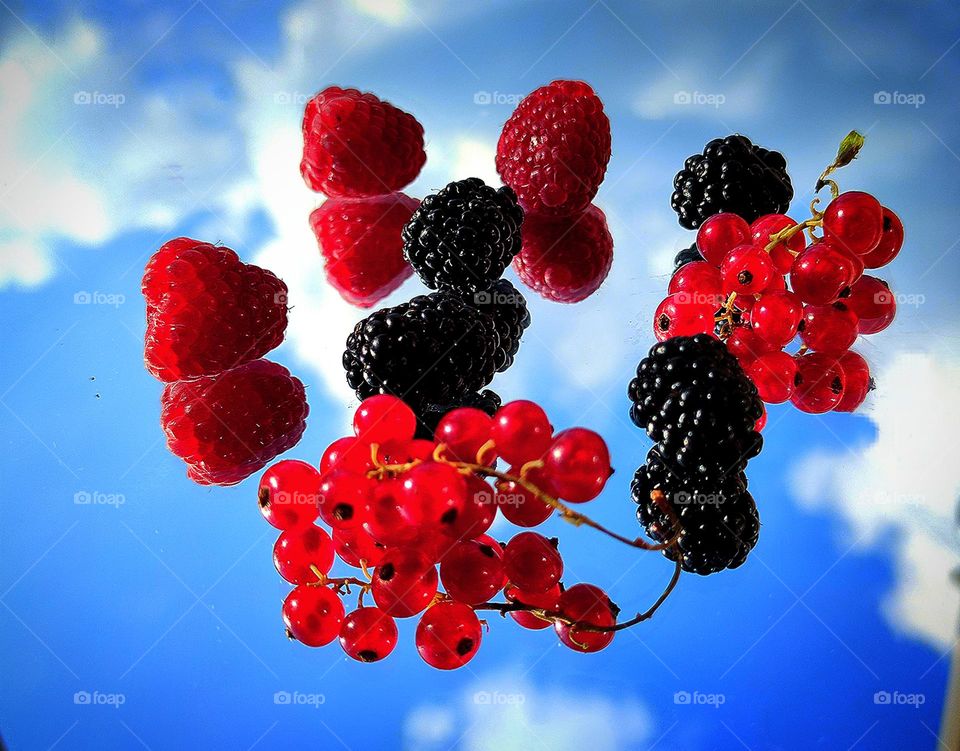 Berries are a treasure trove of vitamins and energy.  Red raspberries, black blackberries and bunches of red currants lie on a mirror surface, from which berries and a blue sky with white clouds are reflected.