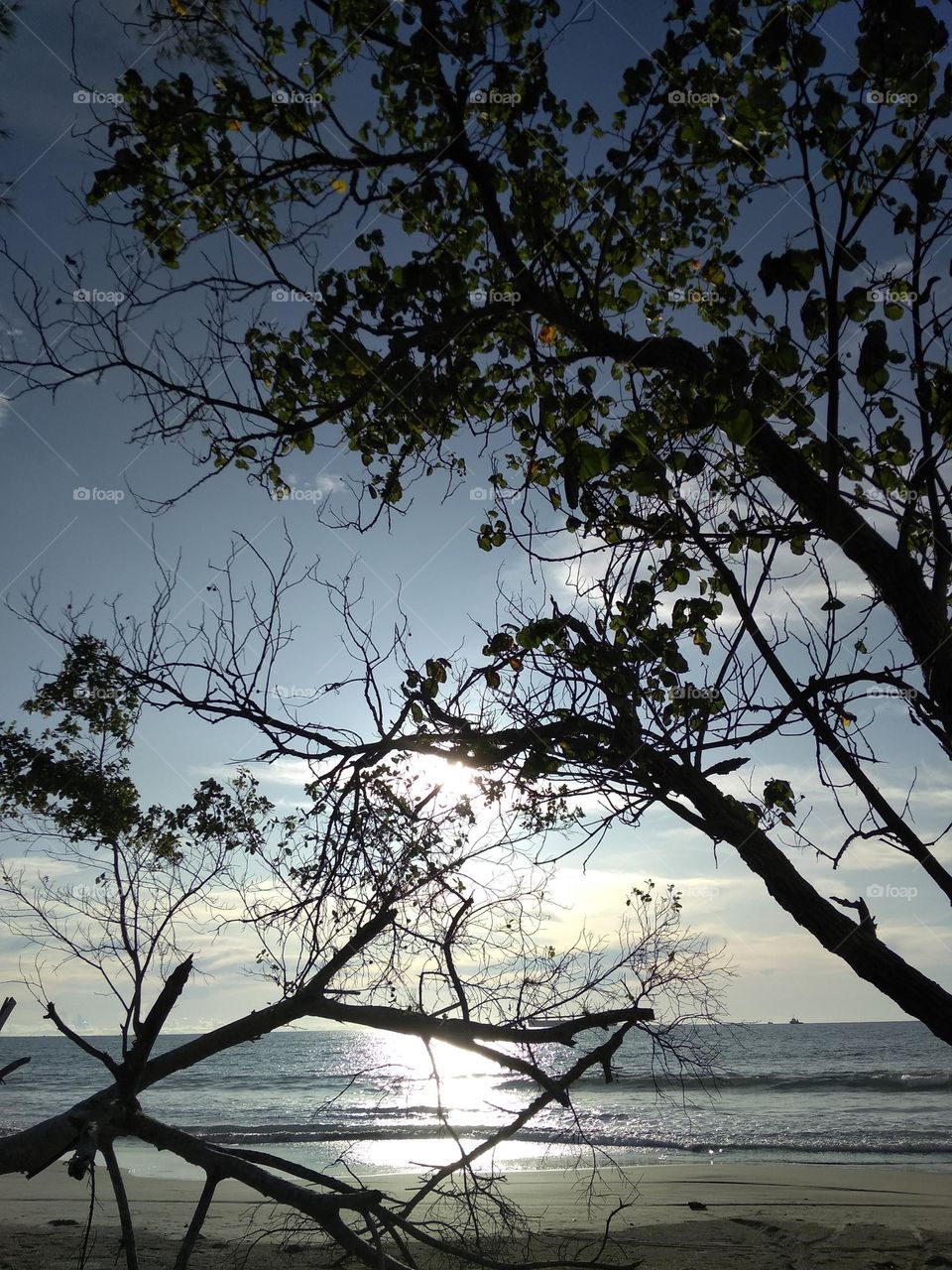 sunset beatiful part 3