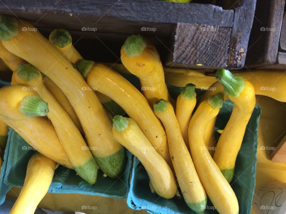 Summertime Squash