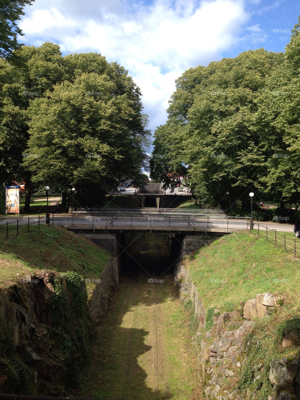 sweden summer trees day by nellix90
