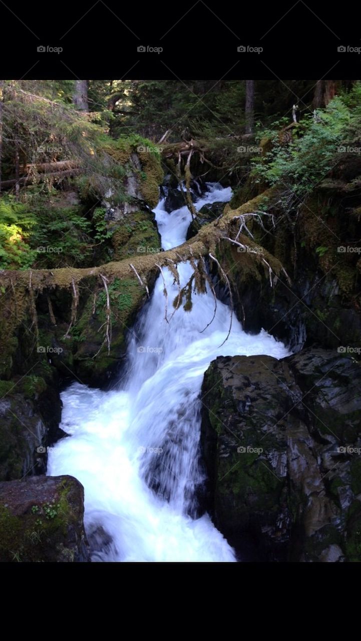 Virgin Creek Falls