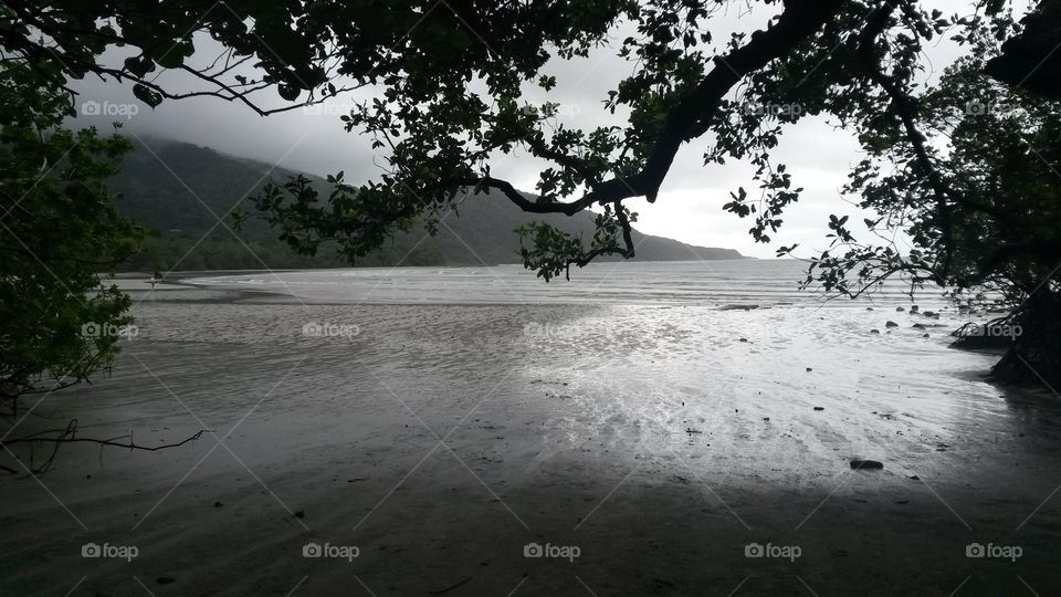 Landscape, Tree, Water, No Person, Beach