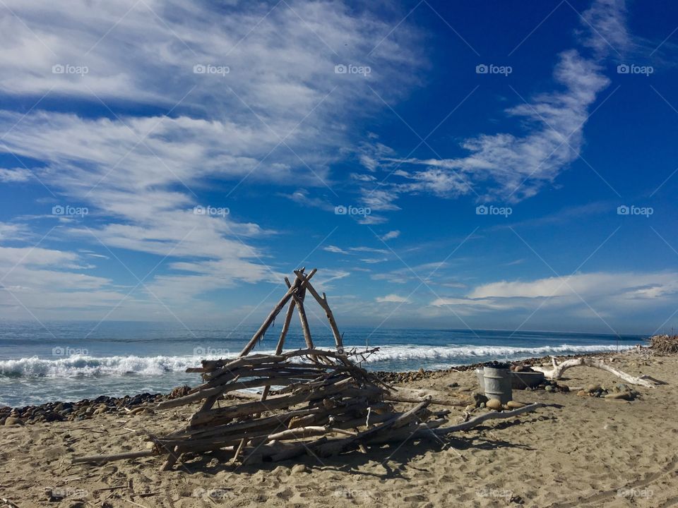 Dramatic Driftwood 