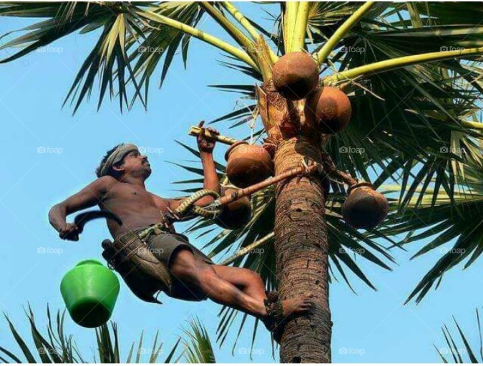 Indian photography stills