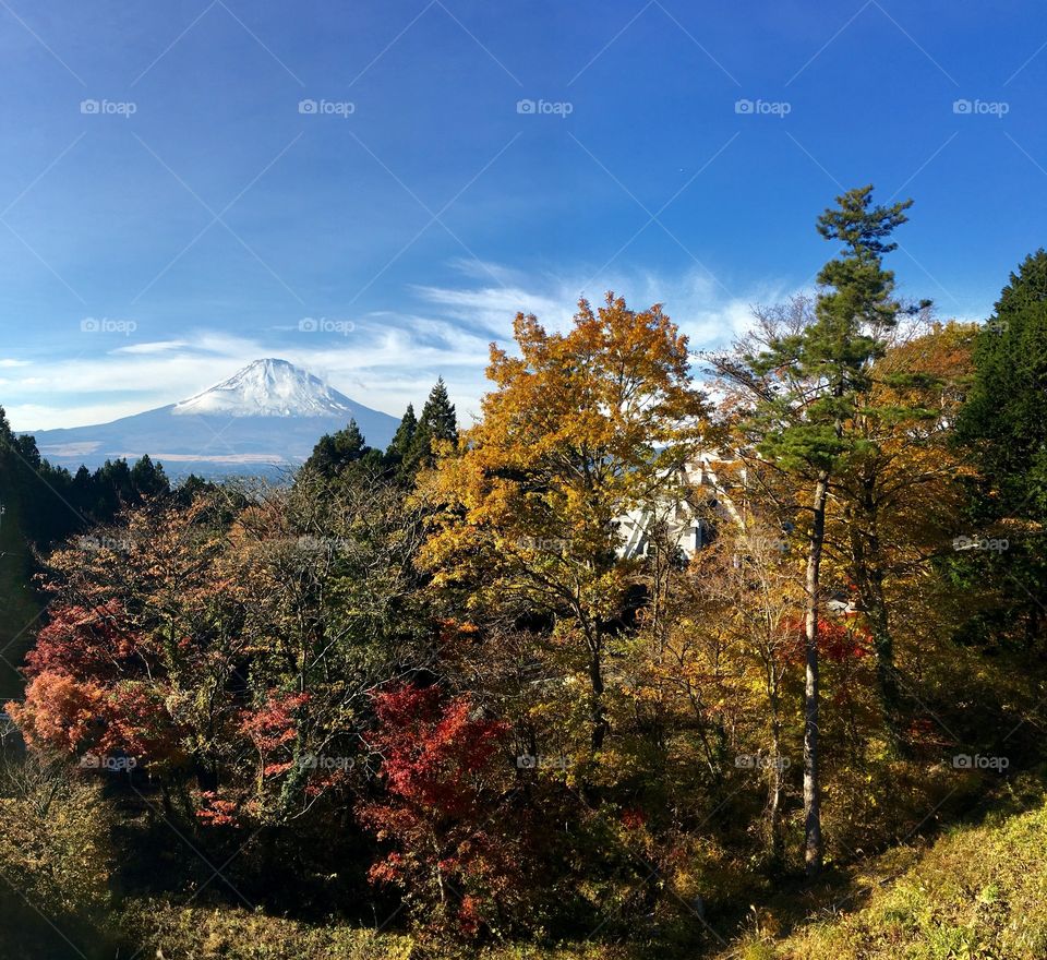 Mount Fuji