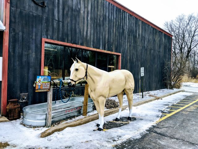 Horse